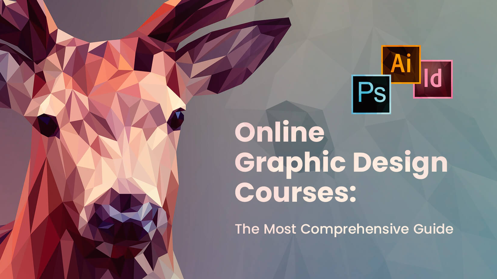 Online Graphic Design Courses