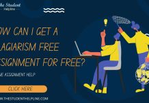 How Can I Get A Plagiarism Free Assignment For Free