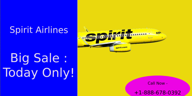 telephone number for spirit airlines