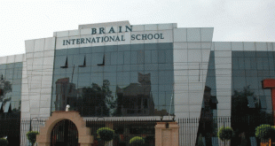 Brain International School