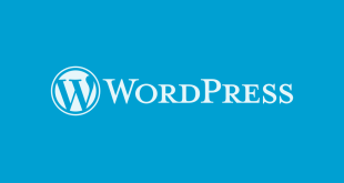create WordPress Website