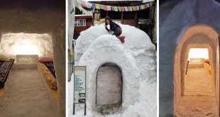 Igloo Stay In Manali: All You Need To Know For An Amazing Experience