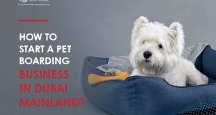 How to start a pet boarding business in Dubai mainland