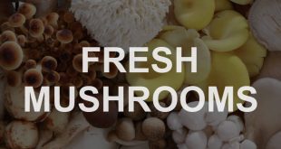 buy mushrooms online