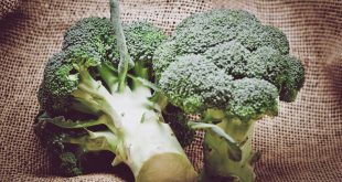Your Health Benefits from Broccoli