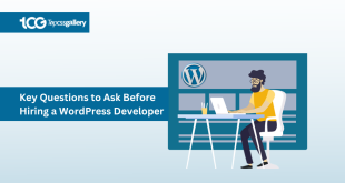Important Questions To Ask Before Hire WordPress Developer