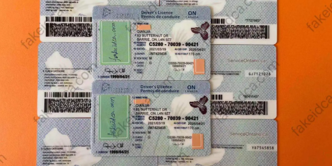 fake id for sale canada