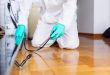 Affordable Pest Control Advice for Every Household