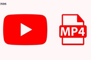 youtube to mp4 downloader